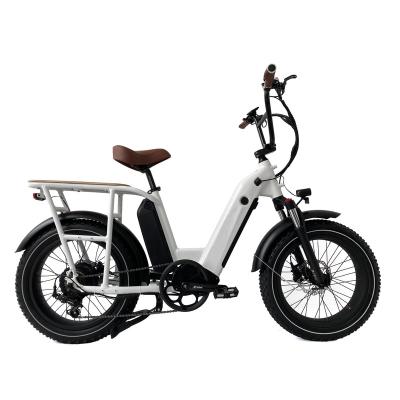 China 20 Inch 500W City Cargo Electric Bicycle Aluminum Alloy 2 Batteries 90km Range 48V 15Ah 7 Speed Electric Bike Retro for sale