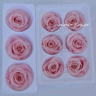 China Real natural preserved natural touch rose in promotion for sale