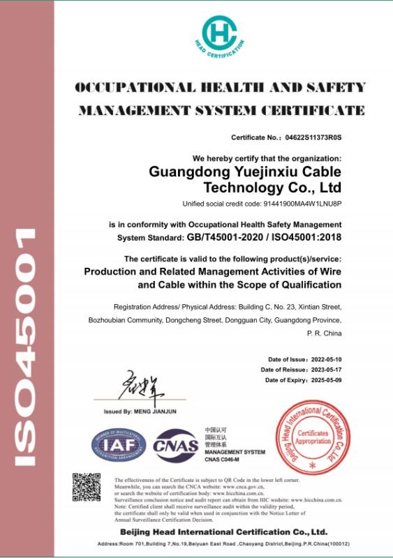 ISO45001 - Guangdong Yuejinxiu Cable Technology Co., Ltd.