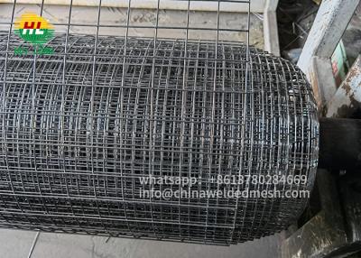 China 25 Voet Gelaste Draad Mesh Rolls 1x1“ voor de Duifwacht van het Vogelscherm Te koop