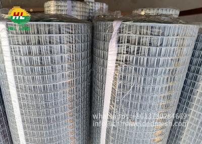 China Electro Galvanized 1/2 In X 48 In X 100ft Square Finer Mesh Multipurpose For Fence Construction Material for sale