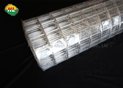 Китай холодное гальванизированное 16GA сварило дюйм Rolls 2x3 ячеистой сети для домашней загородки сада продается