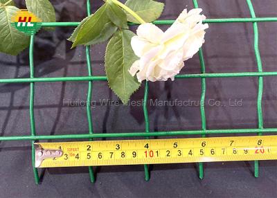 China Groen Pvc bedekte Gelaste Draad Mesh Fence RAL6005 50.8x50.8mm Mesh Opening met een laag Te koop
