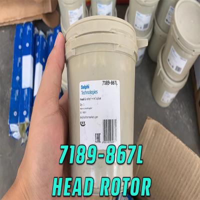 Китай DELPHI Genuine Brand New Diesel Common Rail Fuel HEAD ROTOR 7189-867L продается