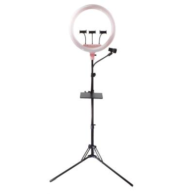 Chine Pouce 54 cm LED Ring Light 3000-6000K Dimmable du prix usine 21 avec le support de 3 téléphones pour l'éclairage visuel de photographie de studio à vendre