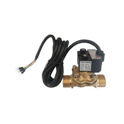 China Válvula de fluxo duplo de marca Bernet Válvula solenovida para fio de dispensador de combustível à venda