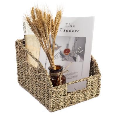 Chine HBK Tower Cane Tower Christmas Gifts Plant Plankton Rectangular Slim Organizer Plastic Insulated Shelf Storage Baskets With Lid à vendre