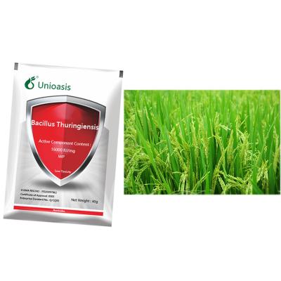 Cina Spray insetticida sicuro 16000 UI/Mg BT WP Uccidere i parassiti del riso del tabacco del mais del cotone Nessun residuo in vendita