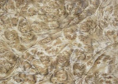China 0.5 mm Mappa Burl Wood Veneer , Nardwood Thin Wood Veneer Sheets for sale