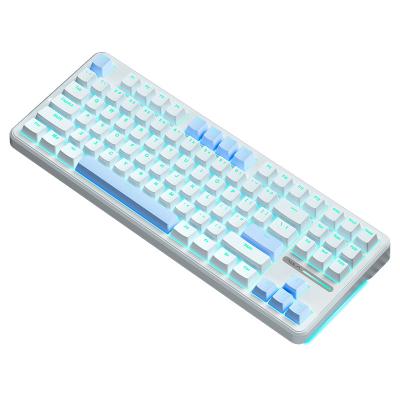China New arrivals ALUA F87 gaming keyboards ABS keycaps DIY RGB backlit 87 keys Wired keyboard gasket keyboard No for sale