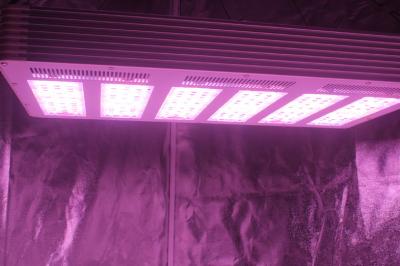 China 1.5g/watt 630W LED Growing Light with full spectrum For Plants Growth for sale
