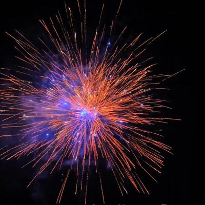 China Chinesische Großhandel China Pyrotechnik 1,2 Zoll Feuerwerk 1,4 g Verbraucherkuchen Feuerwerk Fabrikpreis Außenfeuerwerk 2025 zu verkaufen