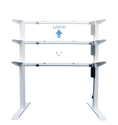 Chine Motorized Workstation Standing Desk Frame With Memory Settings Height Adjustable, Electric Best à vendre