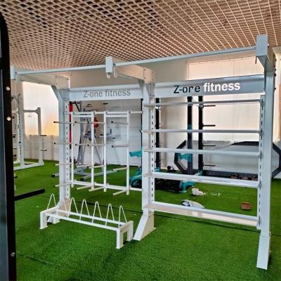 Κίνα Τμήματα Κέντρου Αθλητισμού End Commercial Dumbbell Rack Για Εξοπλισμό Αθλητισμού προς πώληση
