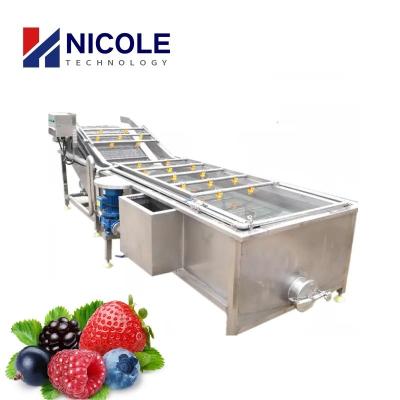 Chine Le CE multifonctionnel de nettoyage de machine de légume fruit de bulle du SUS 304 a approuvé à vendre