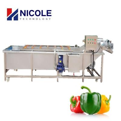 Chine Le type de nettoyage de ceinture de joint de bulle d'air de machine de petit fruit végétal de SUS a adapté aux besoins du client à vendre