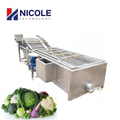 Chine 220V - machine de nettoyage 100 multifonctionnels de légume fruit 440V - 2000kg/h à vendre