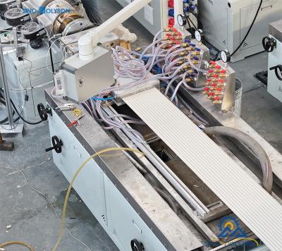 China Sinohs 65/132 PVC Wall Panel Making Machine/ WPC Fluted Panel Production Line/WPC Profile Production Line for sale