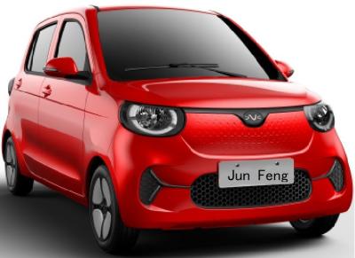China DongFeng 205KM LHD or RHD EV JF-LX1 Mini SUV door 2/4 for sale