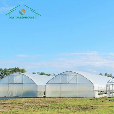 China High Quality Tunnel greenhouse hot sales garden plastic vegetable tunnel greenhouse growing for sale