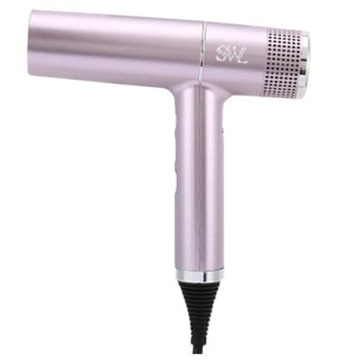 China OEM Salon 2000W Ionic High Quality Portable Professional Hair Dryer Hair Dryer with Brushless DC Motor with 3 Speed Level Settings for sale