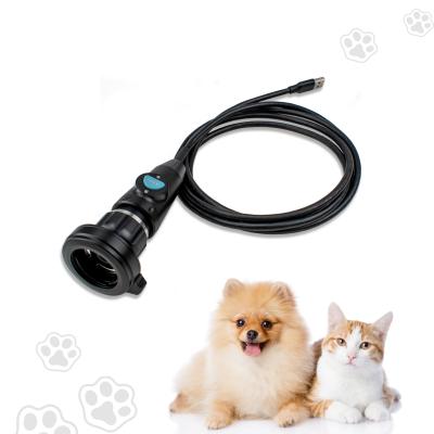 China USB Portable Endoscopy Camera On Computer/Laptop For Pet Checking ENT Dr Manufacturer for sale