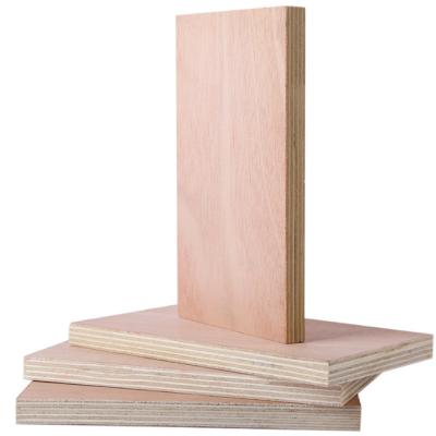 China Modern 7mm 9mm 12mm Furniture Grade Ev Red Or White Veneer commercial Laminate Plywood for sale