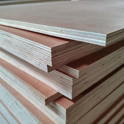 China Modern Hot Sale Plywood Panels for Construction Furniture Packing Bintangor Poplar Plywood Sheet for sale
