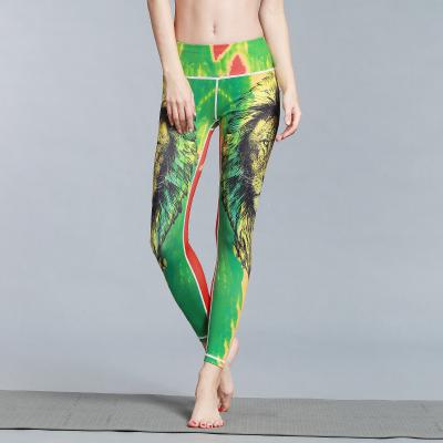 China CPG Global Women's Fitness Legging Sport Running Stretched Cropped Pants Yoga Watercolor Lion Print High Quality HK49 for sale