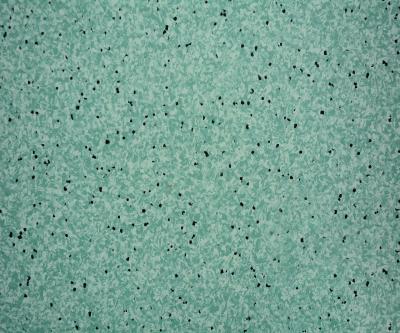 China Ecofriendly PVC Printed Flooring , Anti - Static Commercial Pvc Flooring for sale