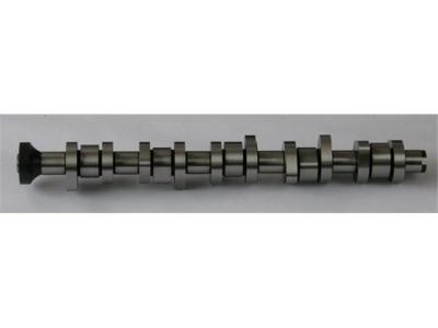 China 070109101P Engine Parts Camshaft for VW CALIFORNIA T5 Camper (7EC, 7EF, 7EG, 7HF) for sale
