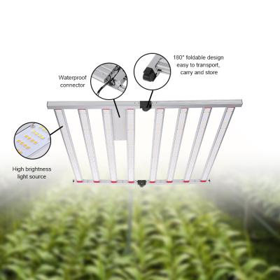 China Eco - Friendly Plant Tissue Culture Lights 2x4 Microgreen Longgood For Indoor Grow Light Led 720 W Plants for sale