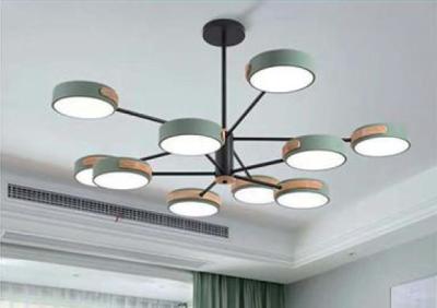 Cina Chandelier 10heads*200mm light color: green; Light source power :10 heads + three colors in vendita