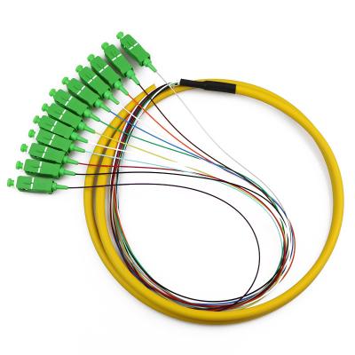 Chine SC/APC-NC, LSZH, 0.9mm, 12 la fibre, G.657A2, 1 mètre de code à couleurs distribuent des paquets de tresse de style à vendre
