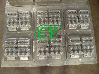 China O molde de 18 células de 15 células Diogradable da caixa do ovo recicla guardando ovos à venda