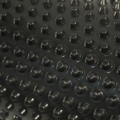 China Greening HDPE Drainage Board Dimple Membrane Drainage Mat en venta