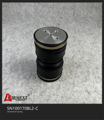 중국 두배 뒤엉킨 충돌 에어백 완충 장치 SN100170BL2 C 판매용