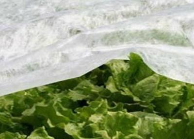 China Tela no tejida respirable de los PP, tela del control de malas hierbas del jardín para la agricultura en venta