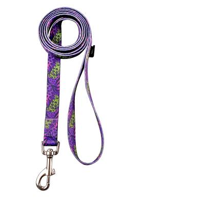 China Personalized a set of 3 pieces - heavy dog collar, traction belt and traction rope for daily training, walking and running for sale