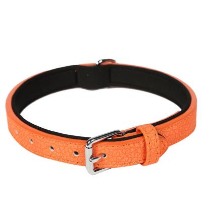 China Reflective Collar Sublimation Maker Personalized Pet Turquoise Pink Orange Pink Collars For Dogs for sale