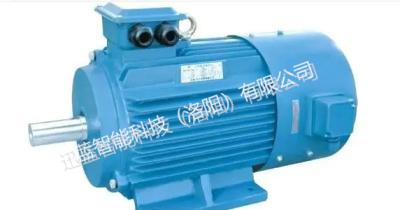 Cina Motore a magnete permanente ad alta velocità per il veicolo di carico dell'automobile elettrica in vendita