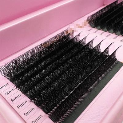 China Full Volume YY Eyelash Extension Whips Volume Black Extension Premade Soft
