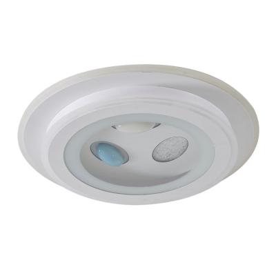 China Outdoor Mounted Lamps Led Home LED Ceiling Post Modern Lighting Decorative Ceiling Lights for sale