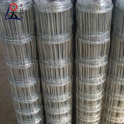 China Aves de corral de hierro galvanizado de malla de bisagra conjunta de campo cabra caballo de campo cerca en venta