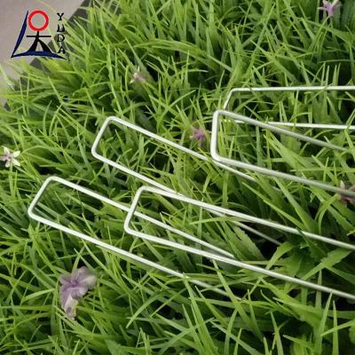China Landscape Sod Garden Staples Grass Fixing Pins Galvanized Staples for sale