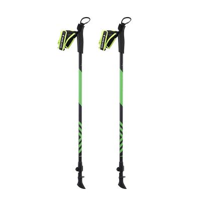 China PP+ EVA Best Seller Walking Poles 2 Sections Carbon Pole Adjustable Length nrodic Folding Walking Poles For Nordic Walking for sale