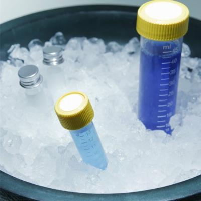 China 120kg/24h Irregular Snow Ice Machine 220V/50HZ/1P Cold Drinks Stainless Steel 304 for sale