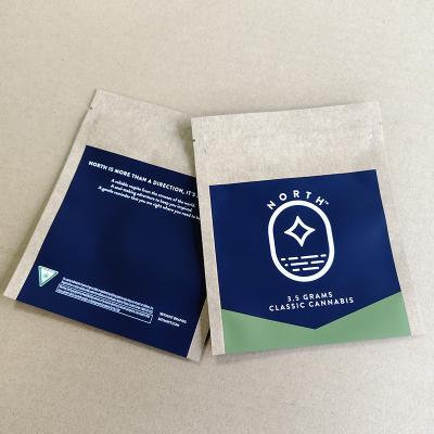 China Custom Printed Kraft Paper Bags Bulk Order Eco-Friendly 10-Color Logo Printing Retail for sale