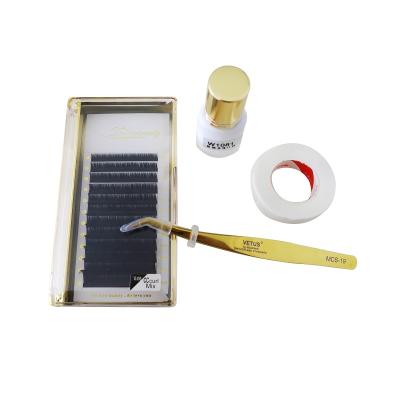 China Cruelty Free Dolovebeauty Premium 0.03 Easy Fan Eyelash Extensions One Second Lashes Flower Extension for sale