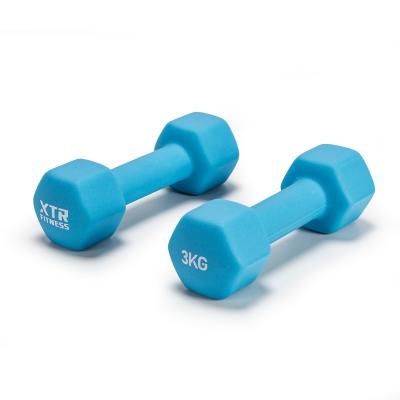 China Wholesale Home Use Factory Price Dumbbell Lady 2kg Fitness Home Yoga Training Equipment for sale